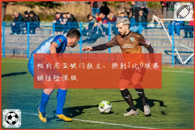 帕利尼亚破门救主，热刺1比0埃弗顿惊险保级