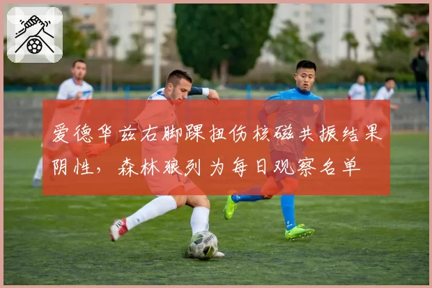爱德华兹右脚踝扭伤核磁共振结果阴性,森林狼列为每日观察名单