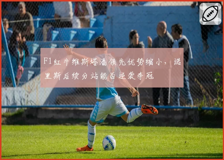 F1红牛维斯塔潘领先优势缩小，诺里斯后续分站能否逆袭夺冠