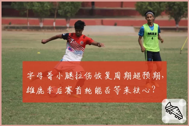 字母哥小腿拉伤恢复周期超预期，雄鹿季后赛首轮能否等来核心？
