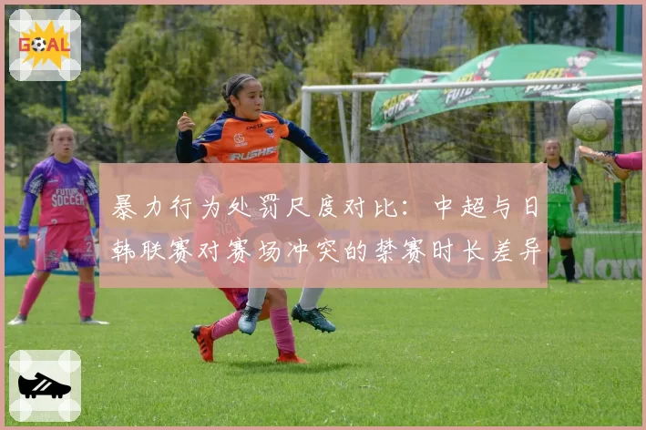 暴力行为处罚尺度对比：中超与日韩联赛对赛场冲突的禁赛时长差异